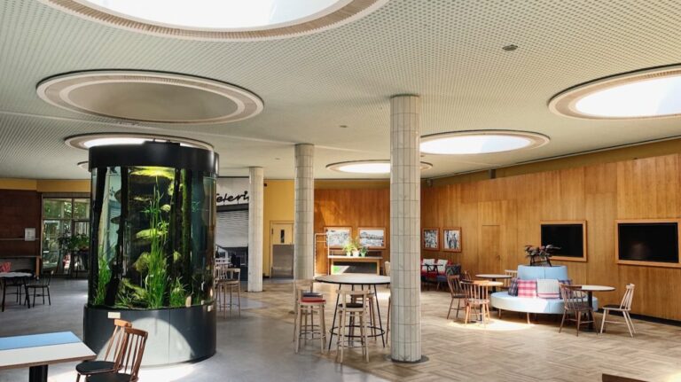 Wellness Interiors: How Biophilic Design is Reshaping Urban Homes and Offices in 2025