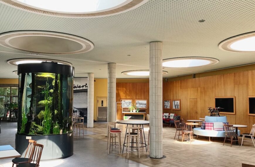 Wellness Interiors: How Biophilic Design is Reshaping Urban Homes and Offices in…